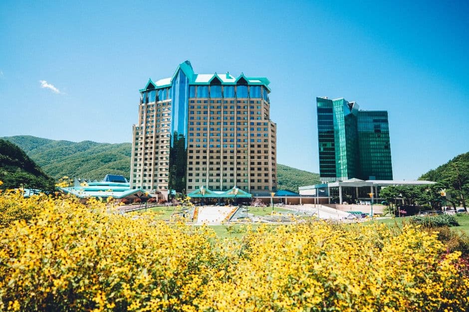 하이원 그랜드 호텔